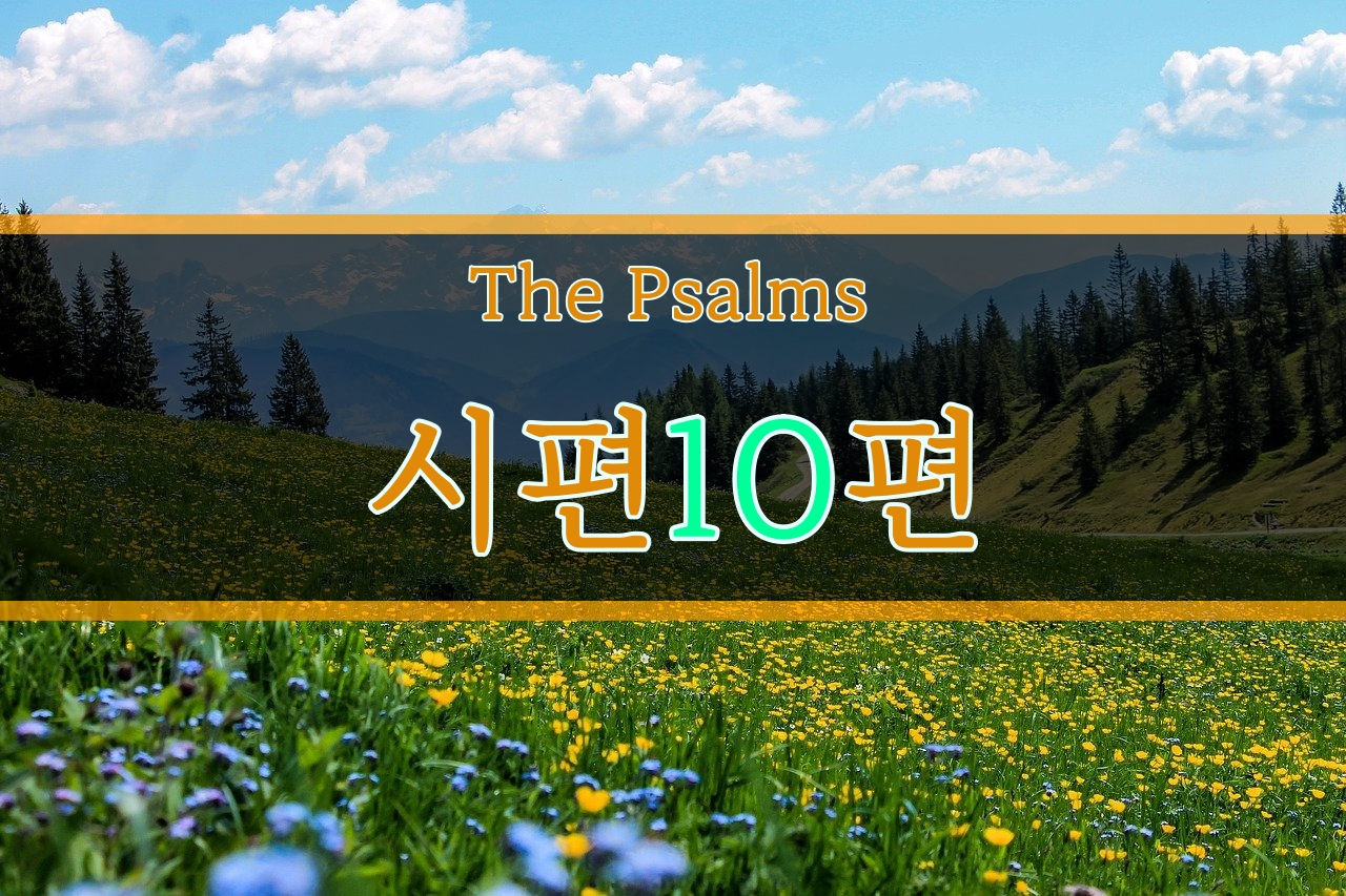  시편 10편