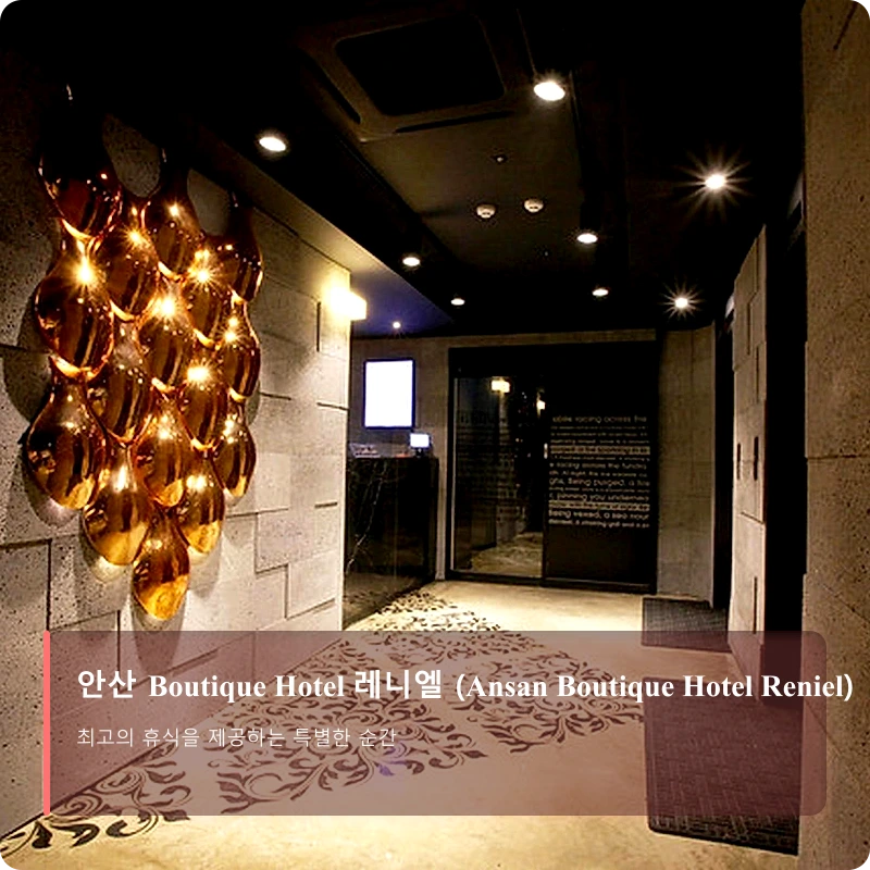 안산 Boutique Hotel 레니엘 (Ansan Boutique Hotel Reniel)_5