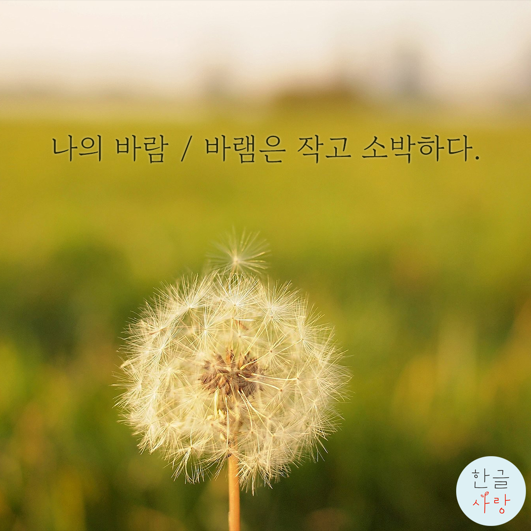  사실 나의 바람 / 바램은 별거 아니었어.