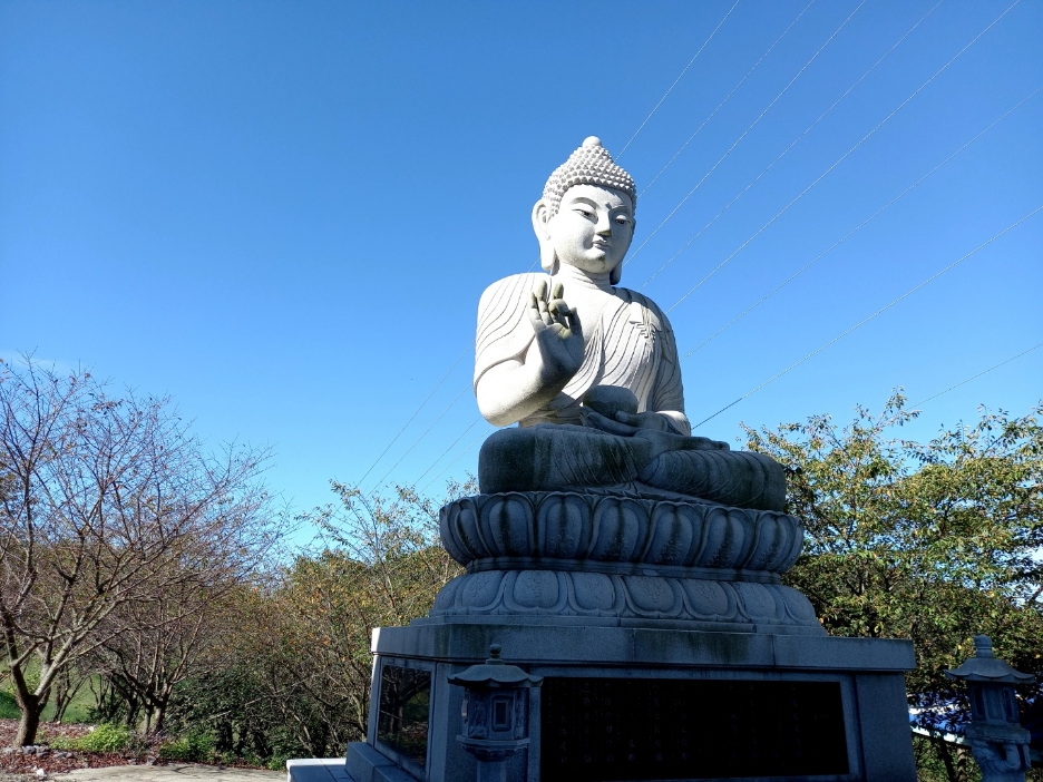 img.jpg