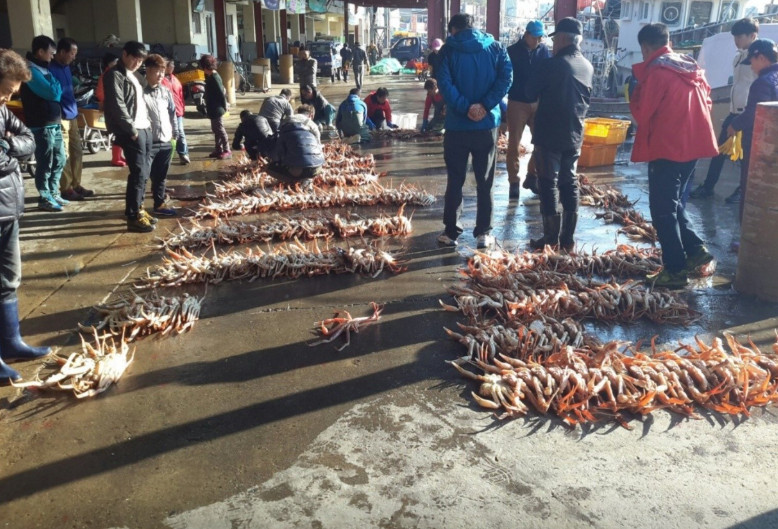 전현무계획2 영덕 대게 맛집 위치 정보