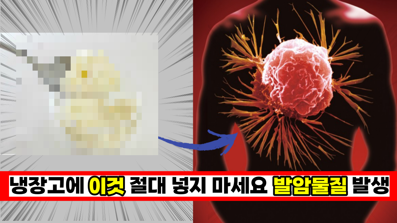  냉장고에 '이것' 절대 넣지 마세요. 발암 물질이 뿜어져 나옵니다. 당장 꺼내세요.