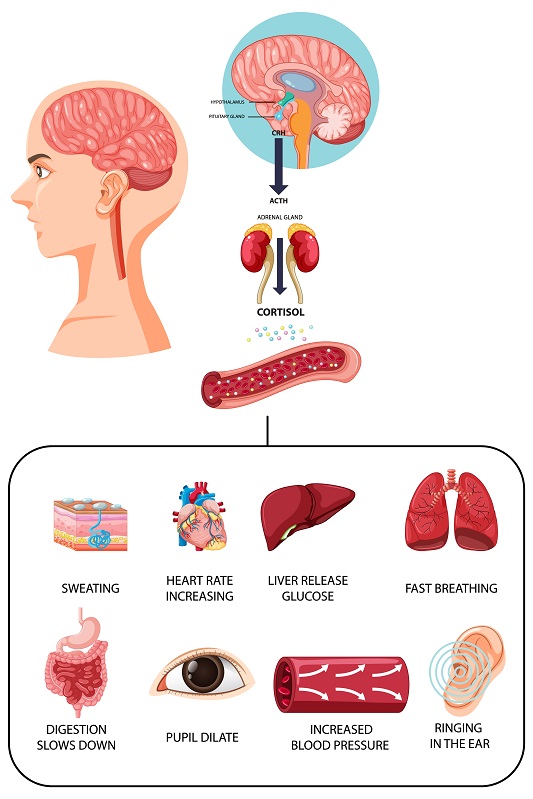 central-nervous-system