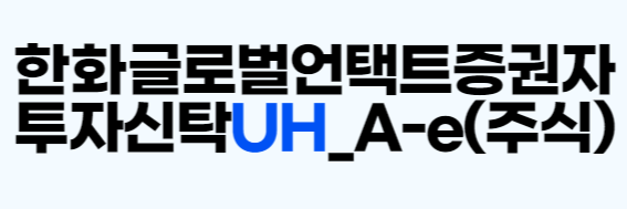 펀드명 읽는법(펀드명의 의미) 예시 환율효과 0
