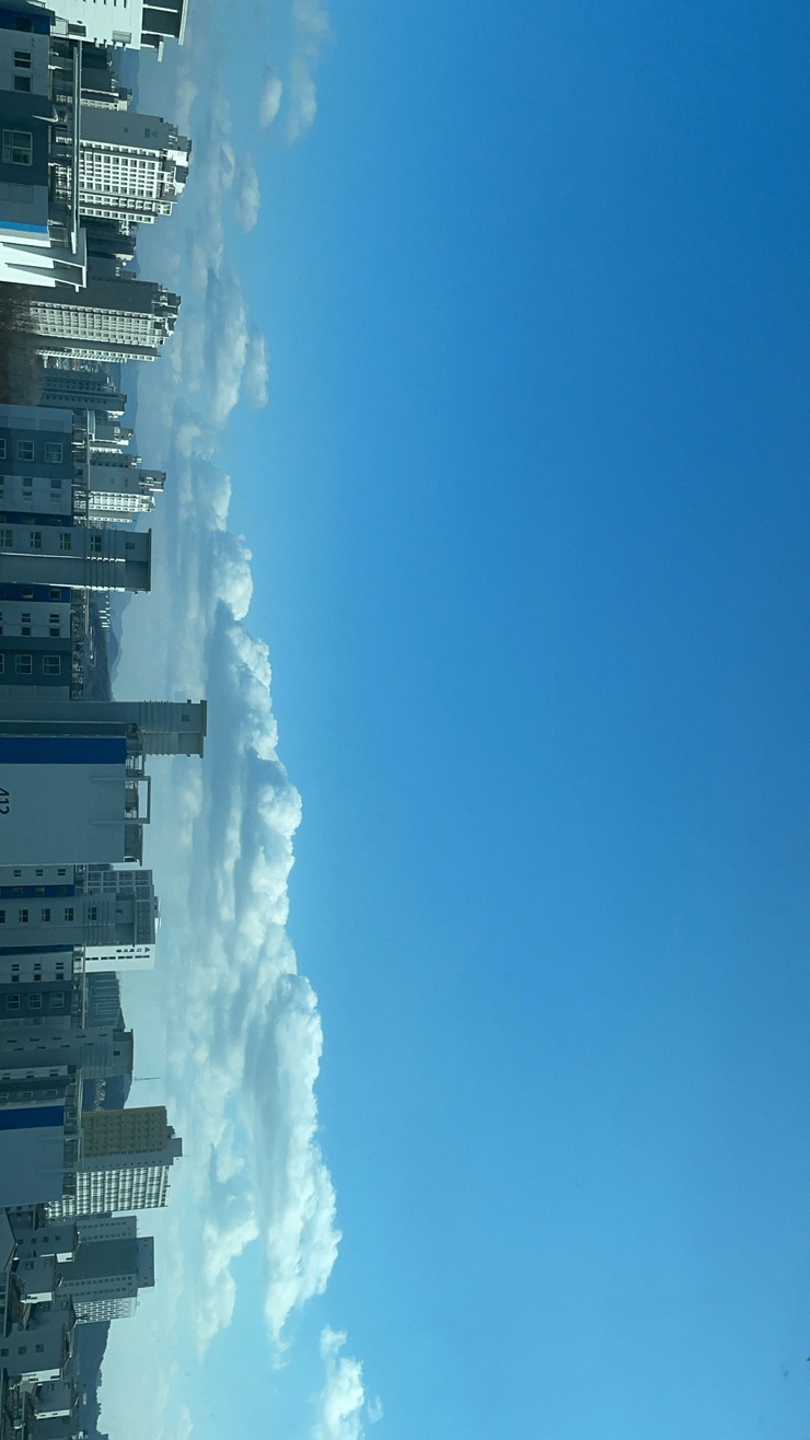 아래어금니가 제제네 육아일기(+482-485days), 연휴 끝 / 밥태기 끝 ? 19