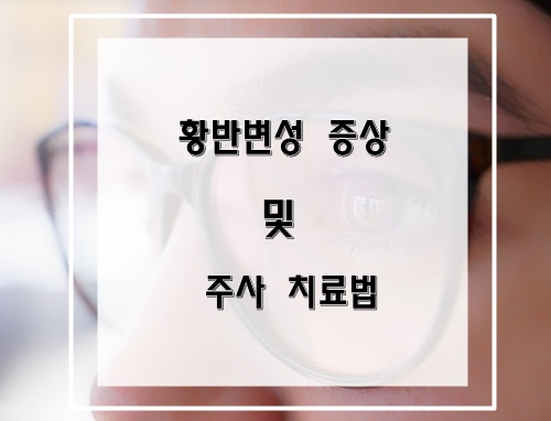 황반변성 및 주사 치료법