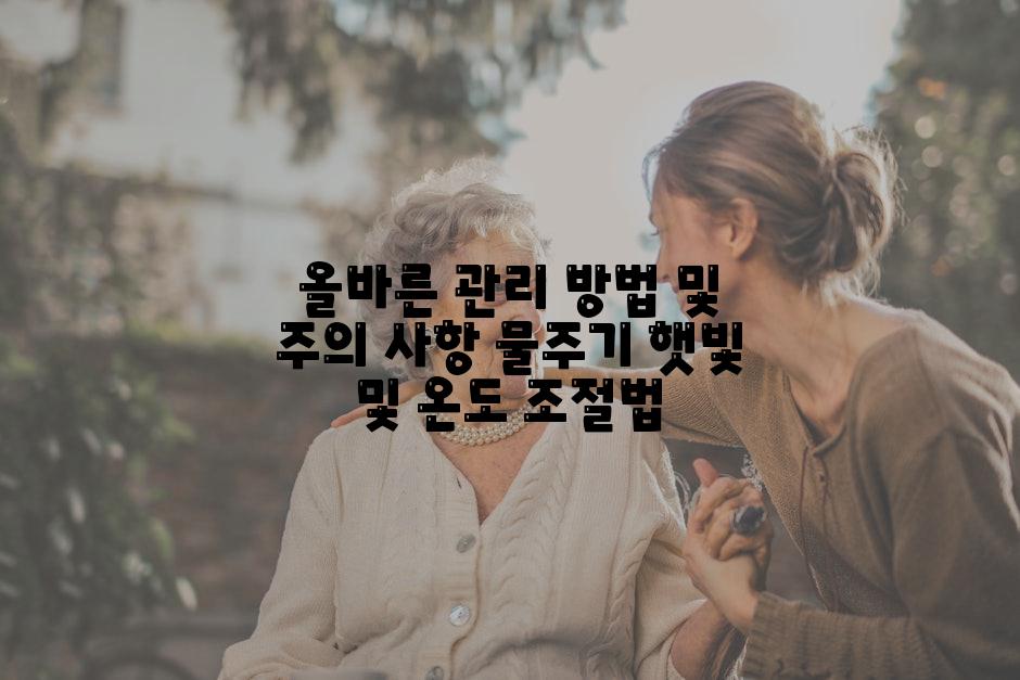 올바른 관리 방법 및 주의 사항 물주기 햇빛 및 온도 조절법