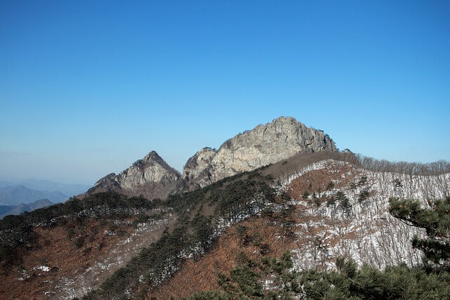 원예 기능사 자격증