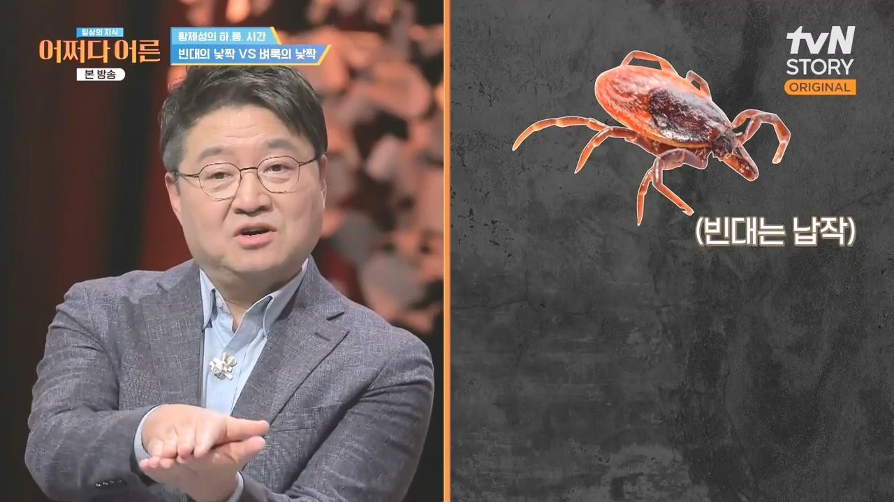 어쩌다 어른.E51.240410p-NEXT.mp4_20240410_170319.990.jpg