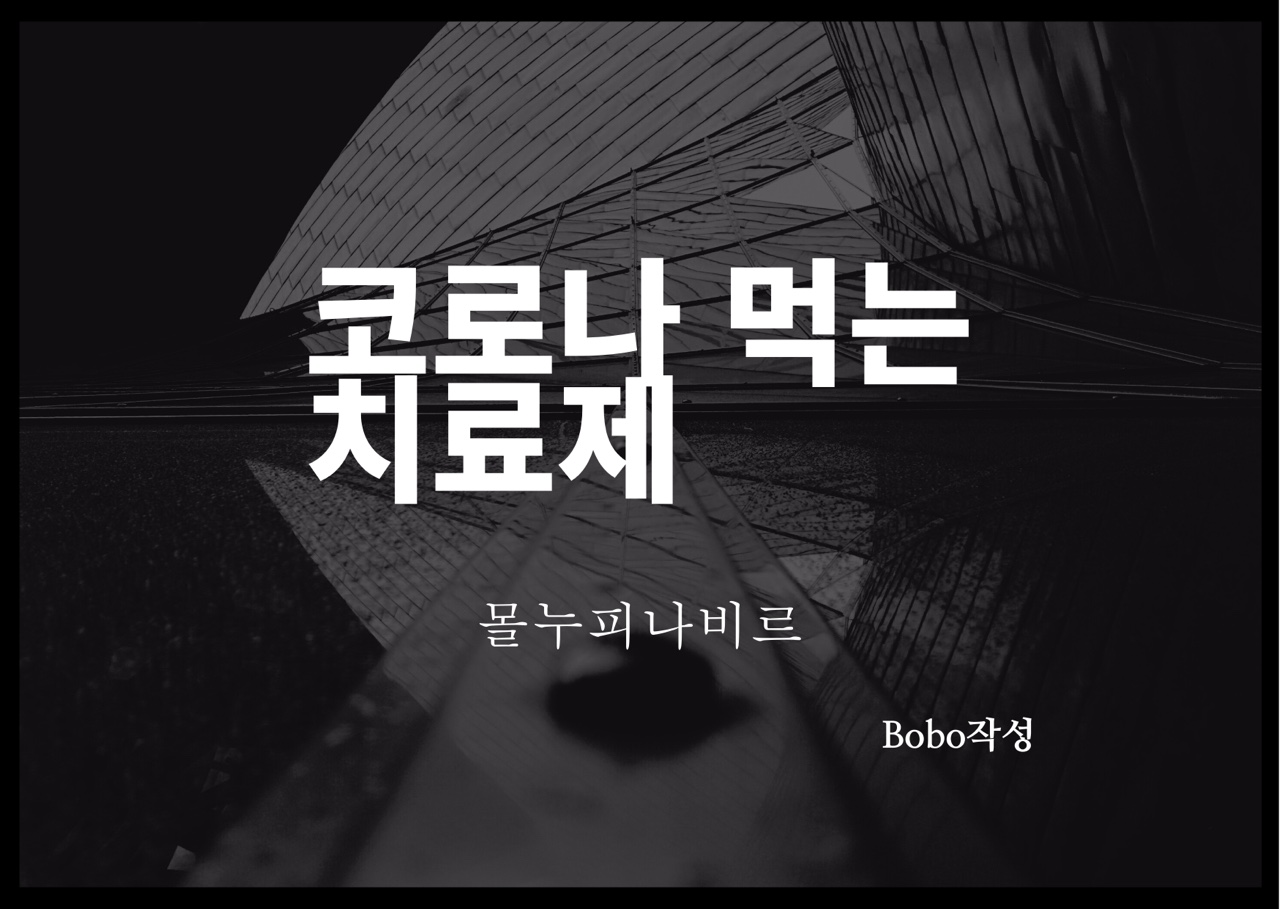 코로나먹는치료제