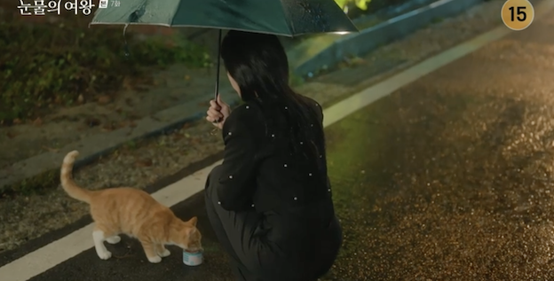 기억을 잃고 현우가 준 우산을 쓰고 고양이에게 밥 주는 해인