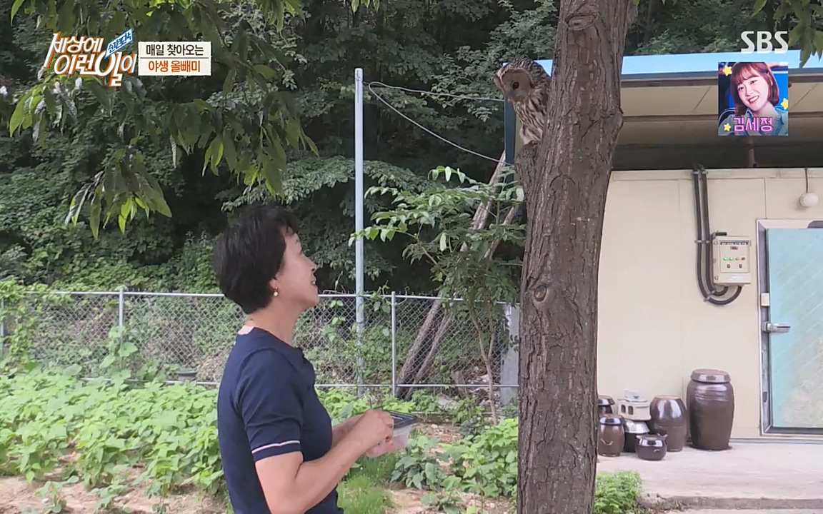 순간포착 세상에 이런일이.E1189.220720p-NEXT.mp4_20220720_200918.885.jpg