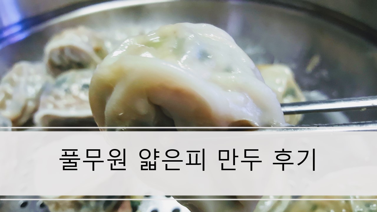  풀무원 얇은피 꽉찬 속 고기 만두 쪄먹은 후기&리뷰