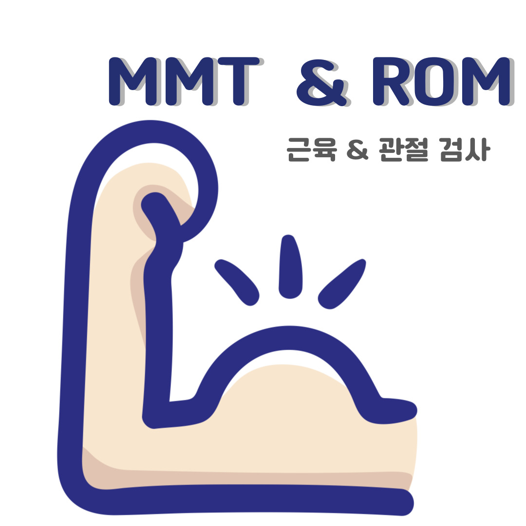 MMT & ROM (Manual Muscle Testing & Range of Motion) 물리치료사가 시행하는 도수근력검사와 관절가동범위 검사 ㅁ알아보기