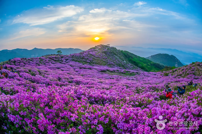  산청 가볼만한곳 여행코스 인기여행지 BEST 10 관광명소 추천 (+경남)
