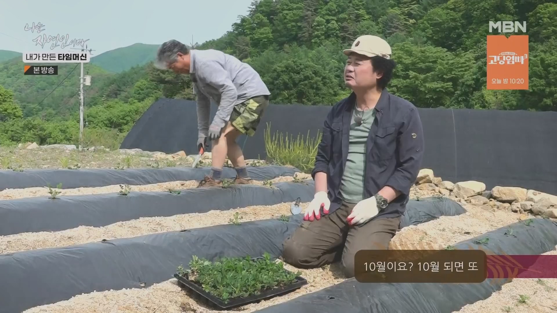 나는 자연인이다.E555.230524p.H264-F1RST.mp4_20230526_212815.228.jpg