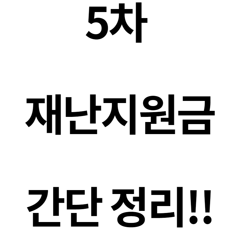 5차재난지원금/