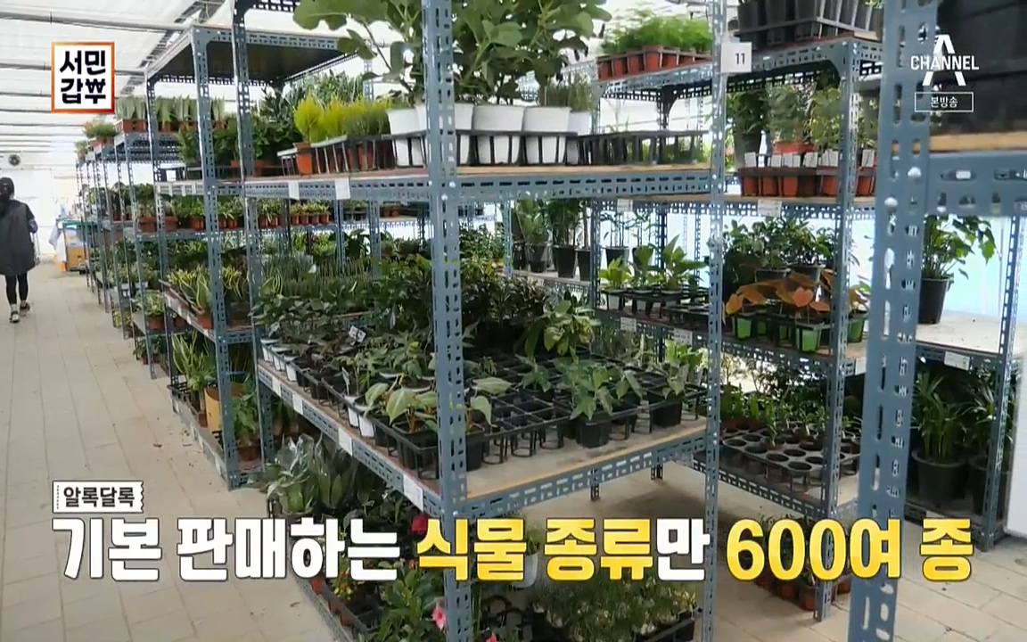 서민갑부.E391.220710p-NICE.mp4_20220710_175530.591.jpg