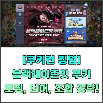  [쿠키런 킹덤]  블랙레이즌맛 쿠키 토핑, 티어, 조합 공략