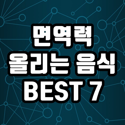  면역력 높이는 음식 BEST 7