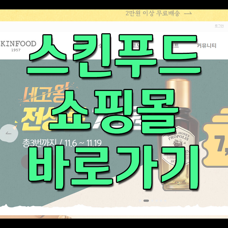  스킨푸드 바로가기