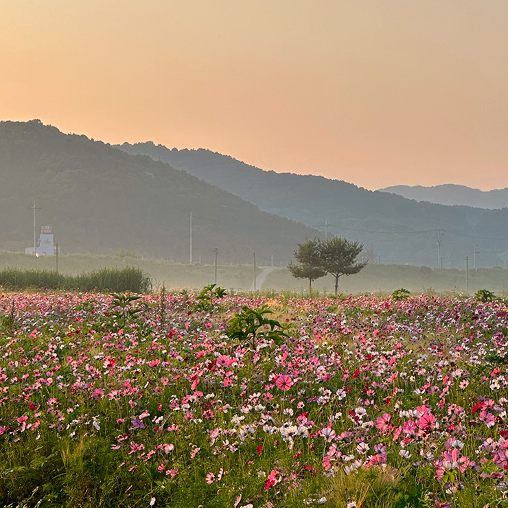 한적한-시골마을