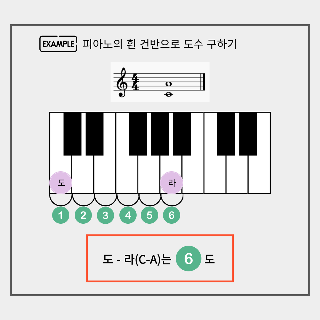 흰 건반으로 도수 세기