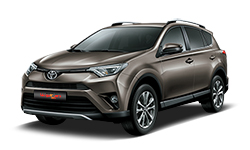 RAV4 색상코드 - Bronze Mica Metallic(색상코드 : 4T3)