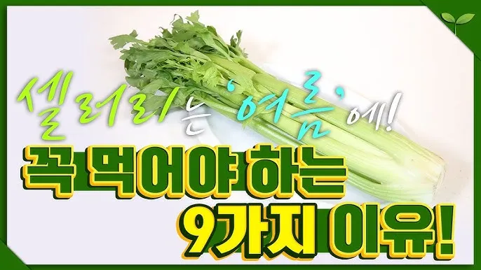 셀러리 먹는법 주스 효능_5