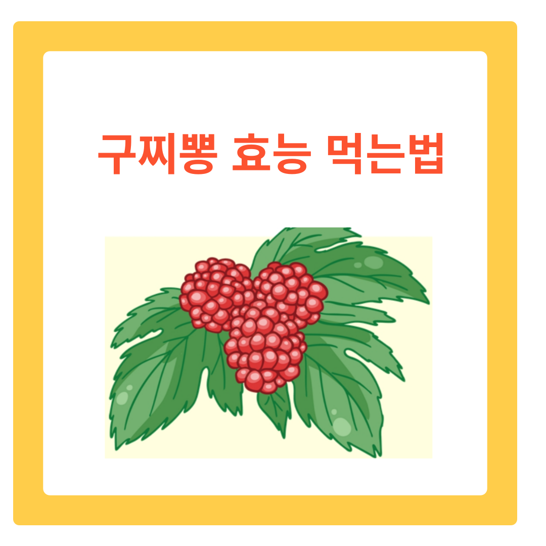  구찌뽕 효능과 꾸지뽕 먹는법