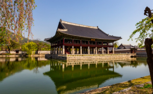 청와대 관람신청