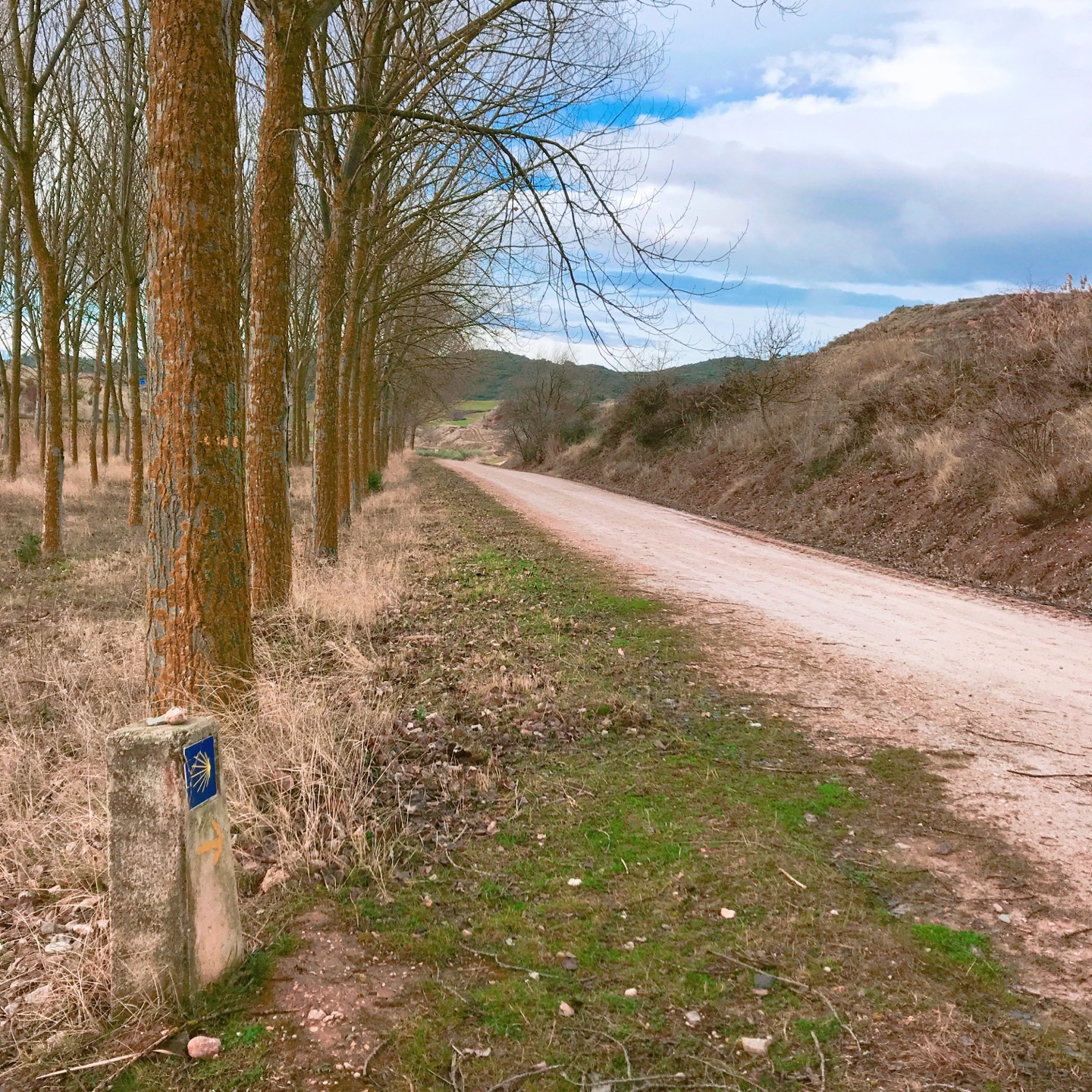  [Overseas Travel]Camino de Santiago Travel journal(Day 8)_산티아고 순례길(토레스 델 리오~로그로뇨)