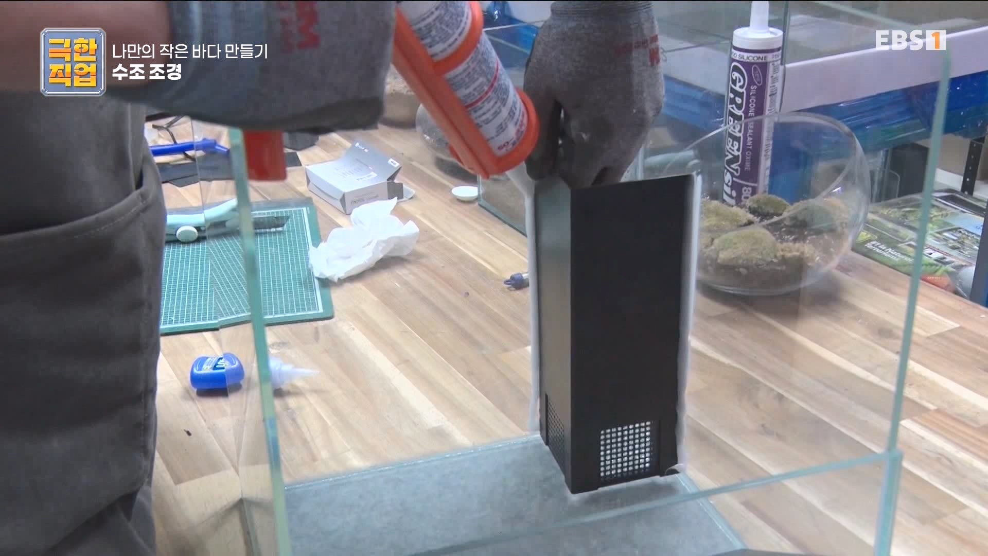 [극한 직업] 수조 조경.mp4_20230822_204229.250.jpg