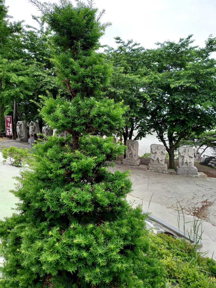img.jpg