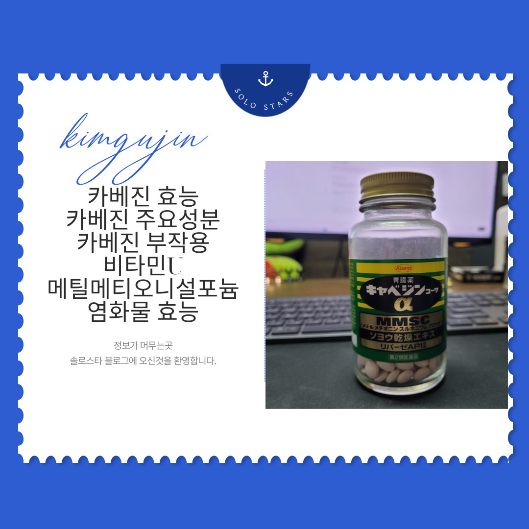 카베진 사진