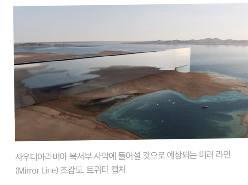 더라인 이미지