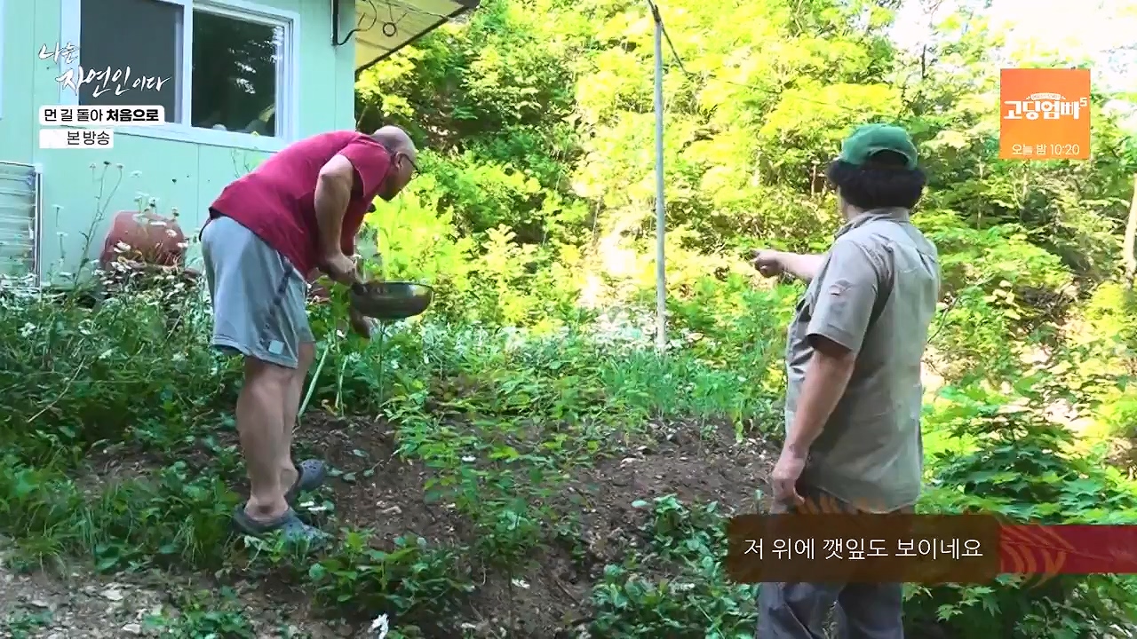 나는 자연인이다.E612.240704p-NEXT.mp4_20240704_195014.700.jpg