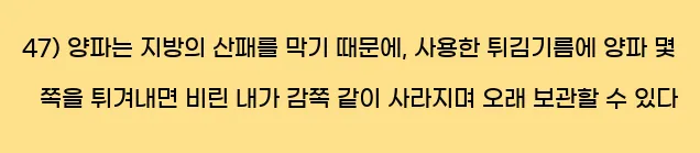  47) 양파는 지방의 산패를 막기 때문에, 사용한 튀김기름에 양파 몇 쪽을 튀겨내면 비린 내가 감쪽 같이 사라지며 오래 보관할 수 있다