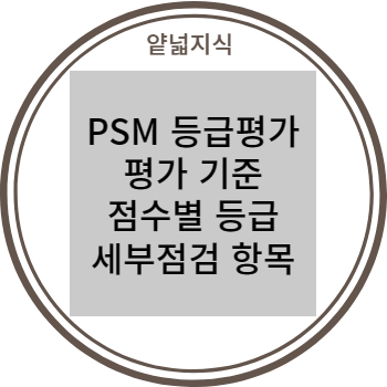  PSM 등급평가 평가 기준, 점검 항목 및 등급 배점 (PSM 세부 평가 항목 자료 첨부)