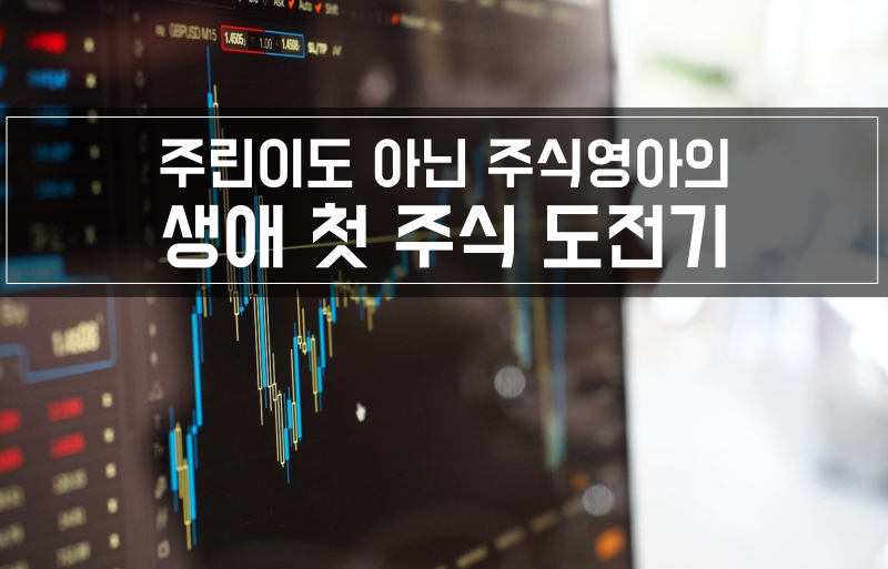 주식영아의 투자도전기