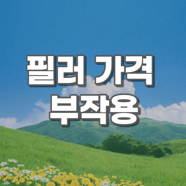 필러-가격