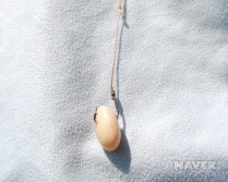 대어낚시 이미지