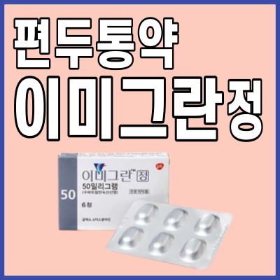 이미그란정