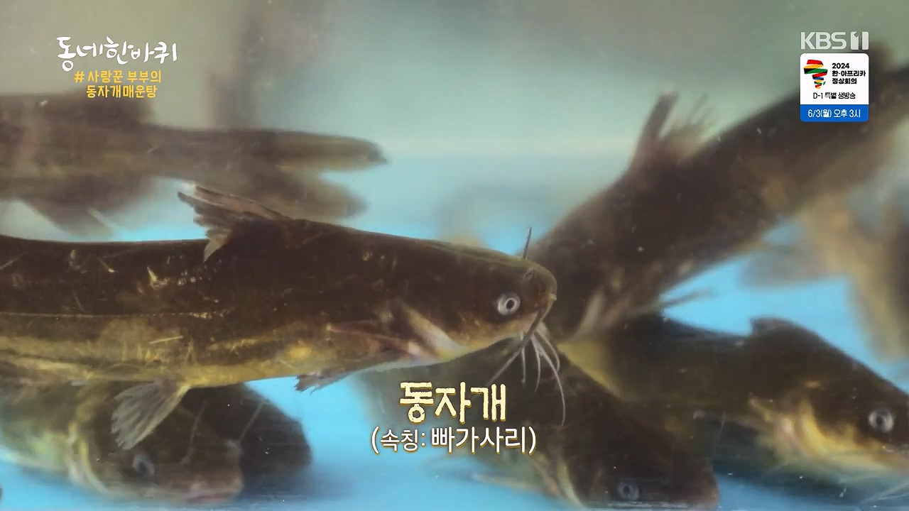 동네 한 바퀴.E276.240602p-NEXT.mp4_20240602_160422.811.jpg