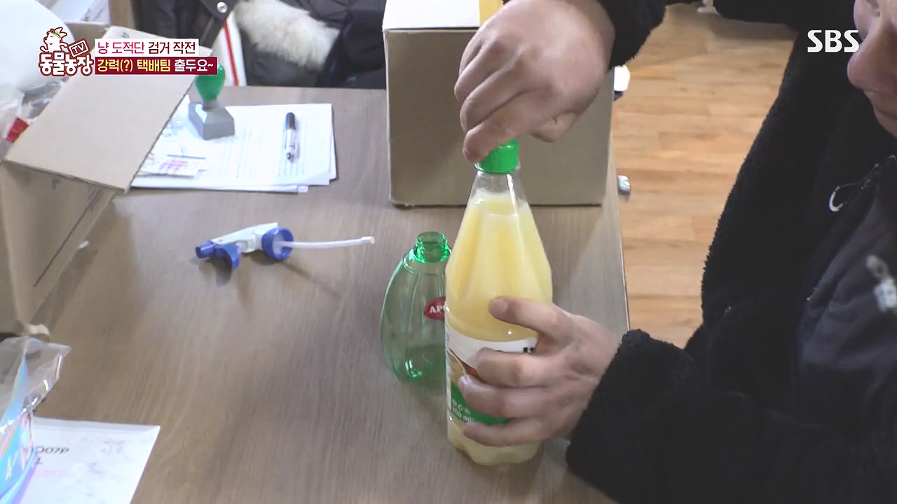 TV 동물농장.E1153.240108p-NEXT.mp4_20240107_173822.401.jpg
