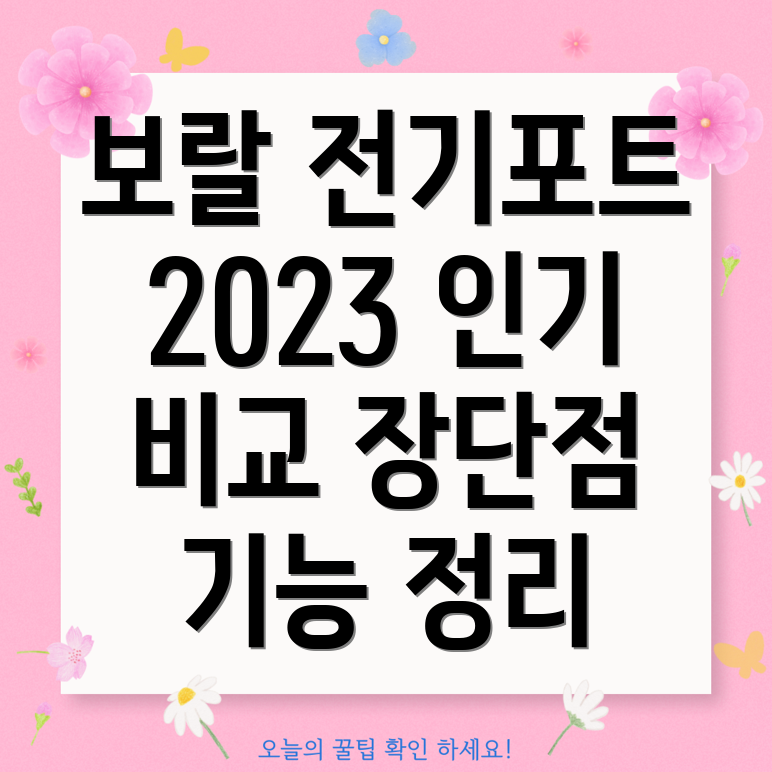 보랄접이식전기포트2023년인기제품비교분석장단점기능디자인총정리