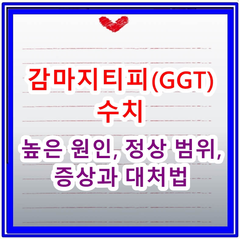 감마지티피(GGT) 수치가 높은 원인, 정상 범위, 증상과 대처법