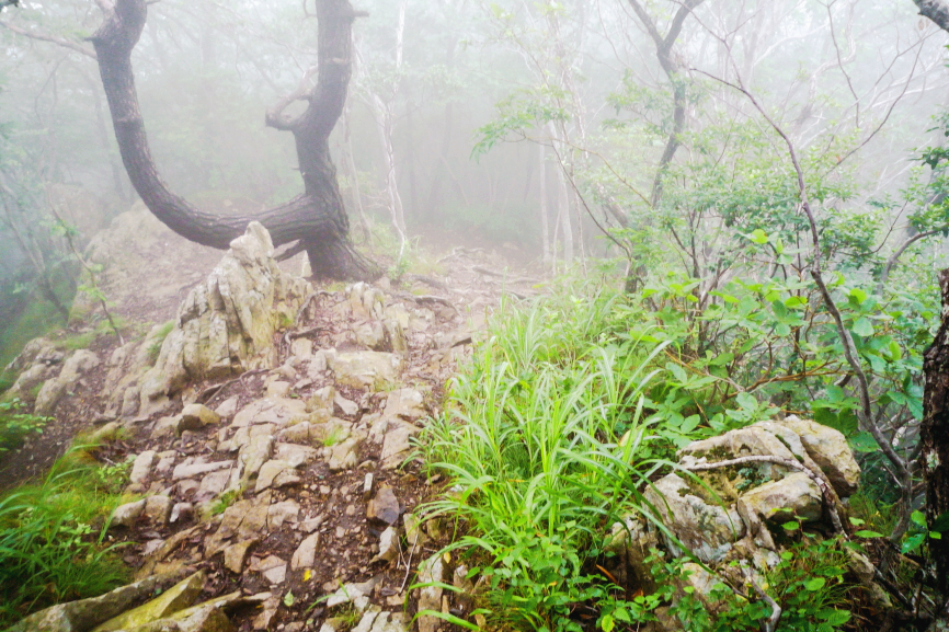 한국 명산 전북 정읍 내장산 신선봉 등산 mountain hiking