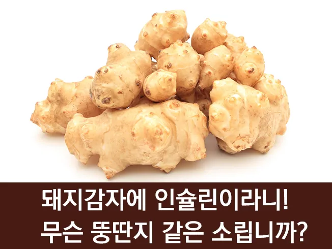 돼지감자 수확시기 먹는법 파종시기_8