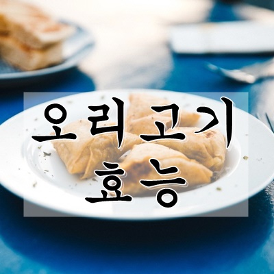  오리고기 효능 및 부작용